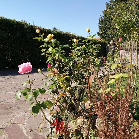 奥西住宿加早餐旅馆 圣朱利亚诺-泰尔梅 外观 照片